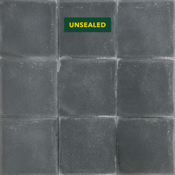 Master Paver Charcoal Unsealed | Silicone S50