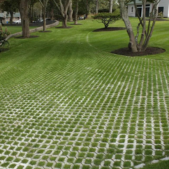 Eco Grass Pave